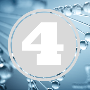 DNA Facts_4