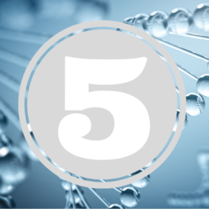 DNA Facts_5