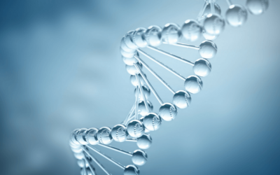 The Discovery of the DNA Double Helix: What It Means to Us All