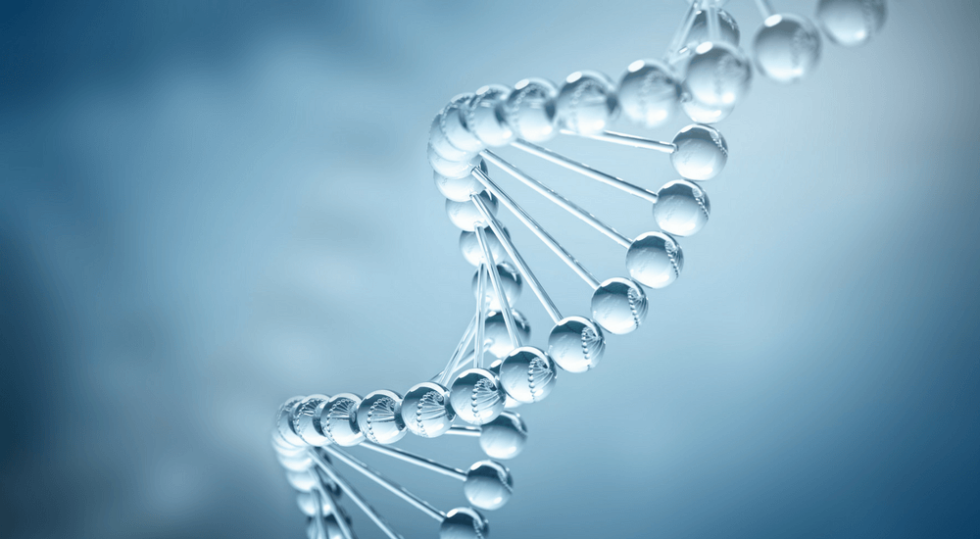 The Discovery Of The Dna Double Helix What It Means To Us All Ddc