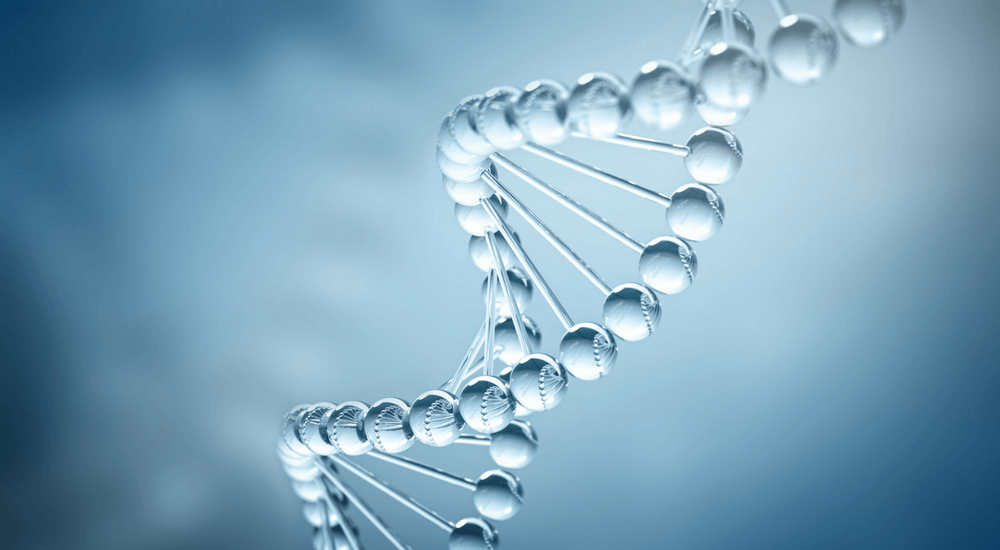 The Discovery of the DNA Double Helix: What It Means to Us All