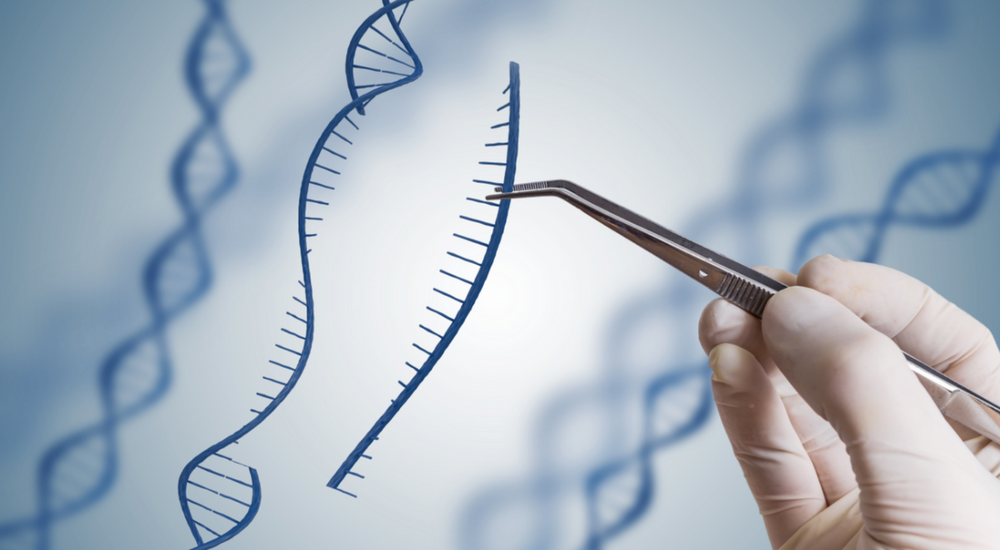 What Is A Genetic Engineering And How Does It Work