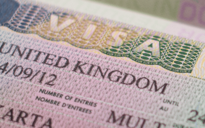 What is the Process for a UK Immigration DNA Test?